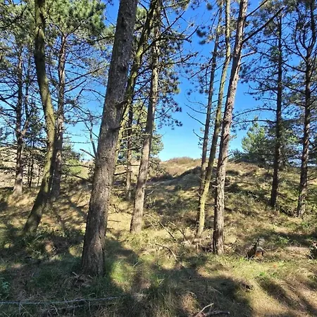 6 Person In Romo-by Traum * Kongsmark