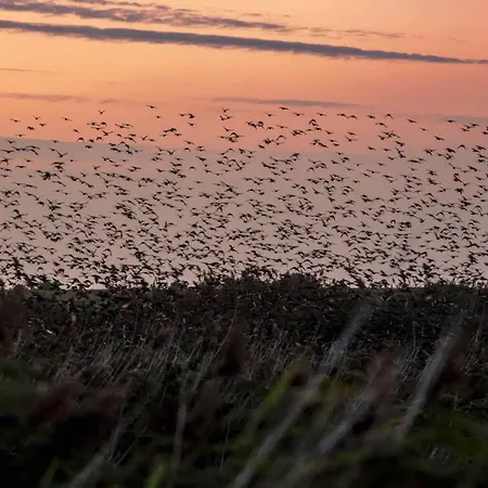 6 Person In Romo-by Traum * Kongsmark