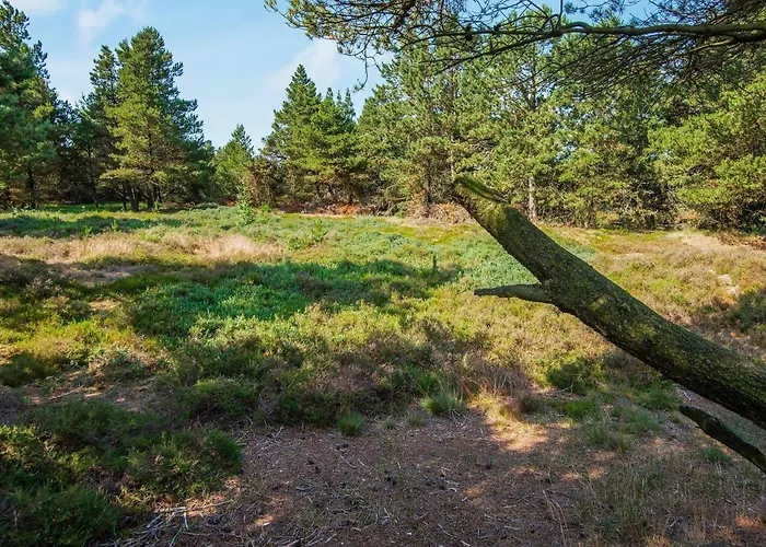 6 Person In Romo-by Traum