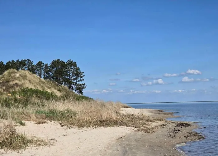 6 Person In Romo-by Traum