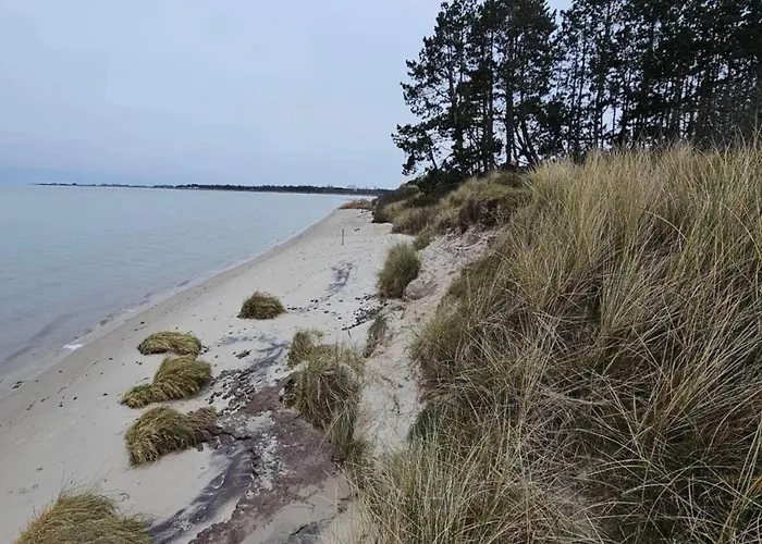 6 Person In Romo-by Traum *