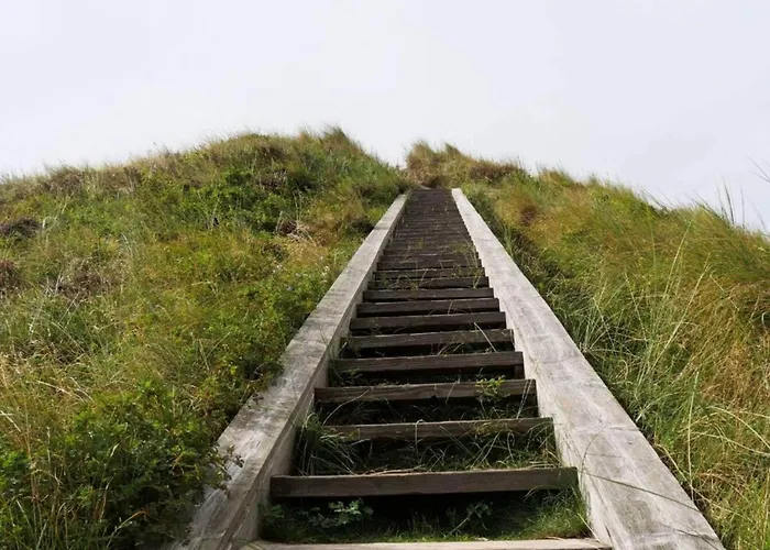 6 Person In Romo-by Traum *