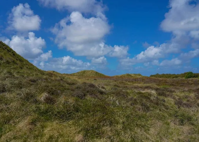 6 Person In Romo-by Traum *