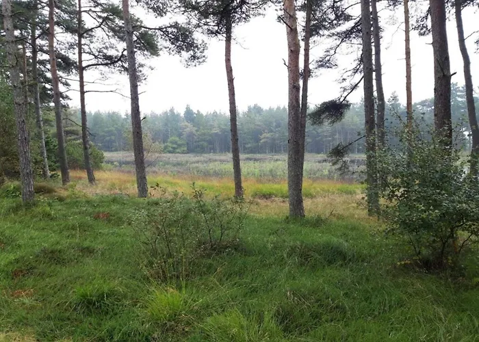 Casa vacanze 6 Person In Romo-by Traum