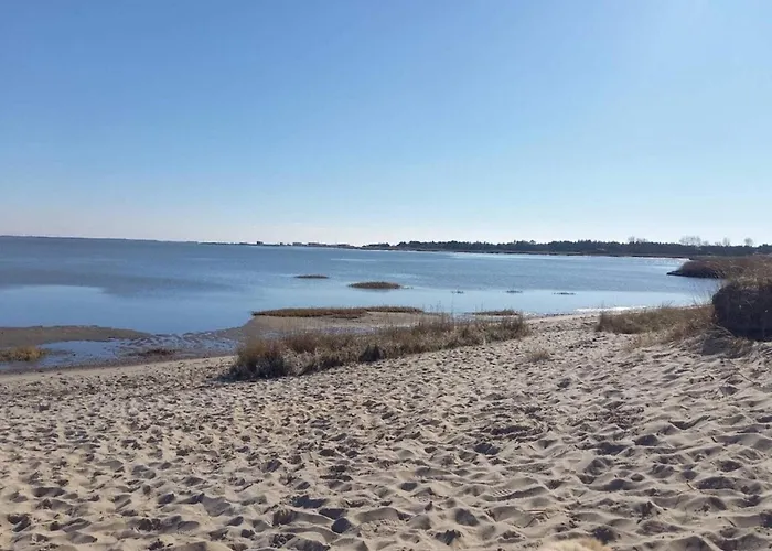 6 Person In Romo-by Traum *