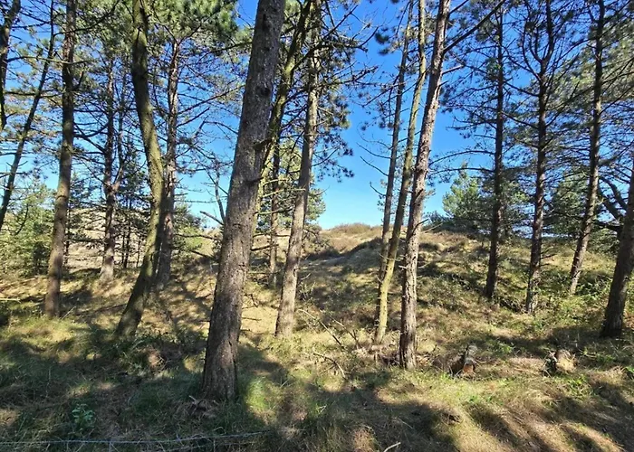 6 Person In Romo-by Traum * Kongsmark