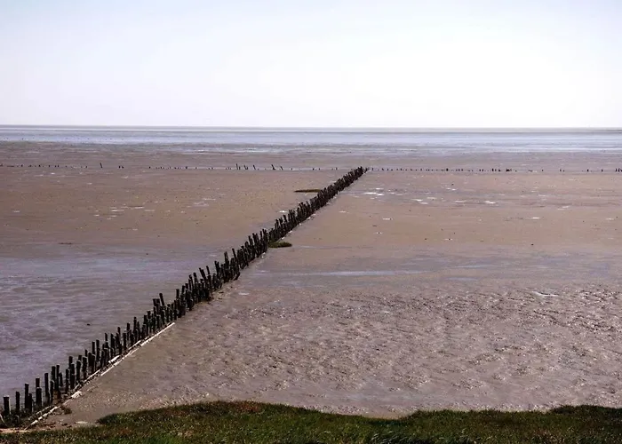 6 Person In Romo-by Traum